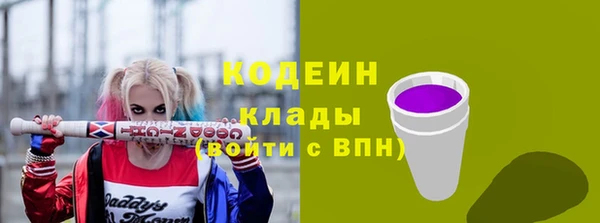 молекула духа Вязьма