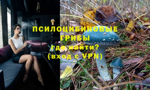 твердый Горнозаводск