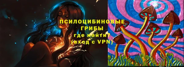 гидропоника Вяземский