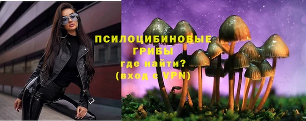 молекула духа Вязьма