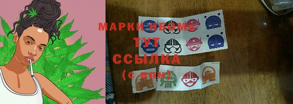 гидропоника Вяземский