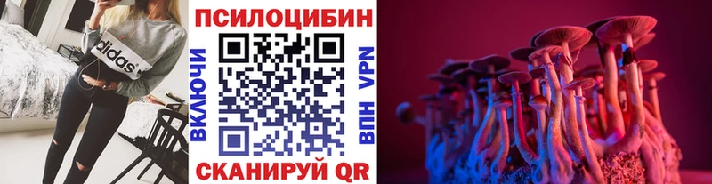 Купить закладки  Прохладный  Псилоцибиновые грибы прущие грибы 