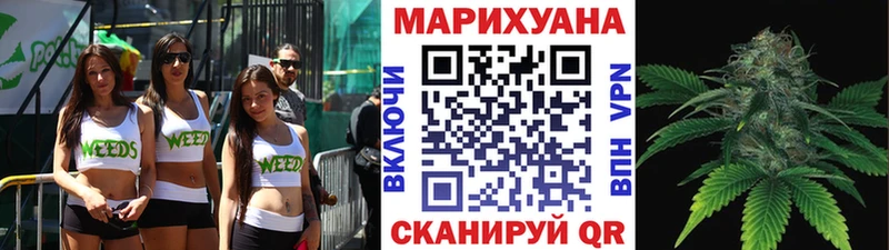 Купить закладки  Прохладный  Конопля марихуана 